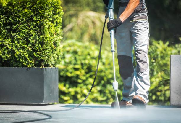 Animal Enclosure Cleaning in New Miami, OH